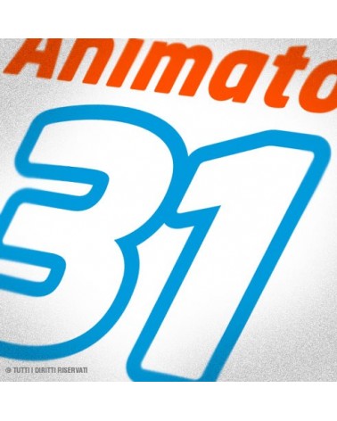 Maglietta Team Animatori - official equipment